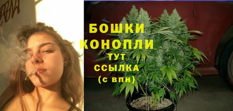 mega ссылка  купить  цена  Уржум  Каннабис THC 21% 